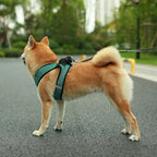 Best Pet Supplies - Image 6