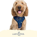 Lucy & Co. Cute Reversible Dog Harness Walking Halter - Image 5