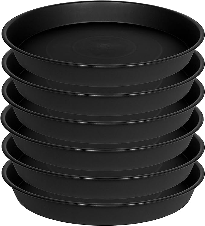 6 Pack of 8 inch Plant Saucer, Heavy Duty Plastic Plant Water Tray, Pebble Tray by Bleuhome