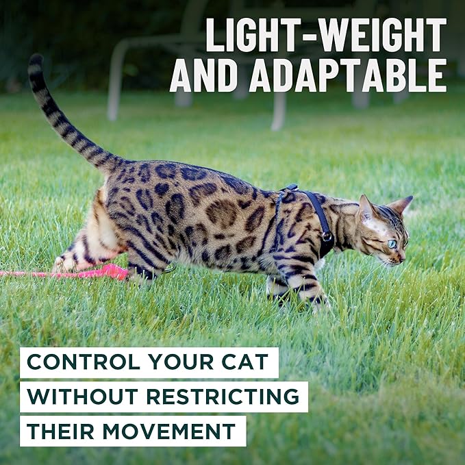 Houdini™ Escape Proof Cat Harness and Leash Set by OutdoorBengal – Black - Image 7