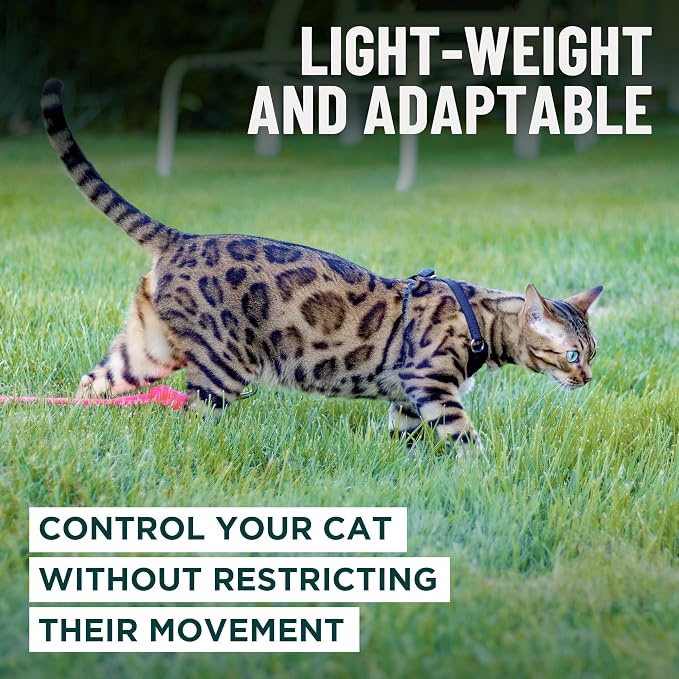 Houdini™ Escape Proof Kitten Harness and Leash Set by OutdoorBengal – Extra - Image 7