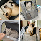 Texsens Pet Backpack Carrier for Small Cats Dogs | Ventilated Design, Safety - Image 6
