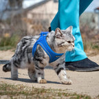 PetiFine Extra Small Step in Dog Harness and Leash Set, Cat Harness and Leash - Image 7