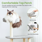Small Cat Tree Tower with Lots of Scratching Posts - Image 8