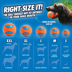 Chuckit! Ultra Ball Dog Toy - Image 4
