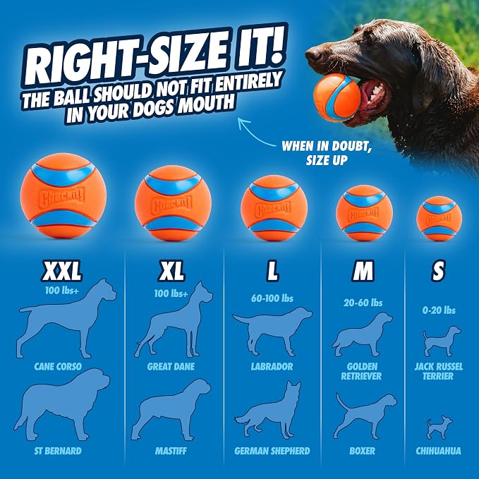 Chuckit! Ultra Ball Dog Toy - Image 4