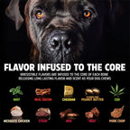 Pet Qwerks Dinosaur BarkBone - Image 5