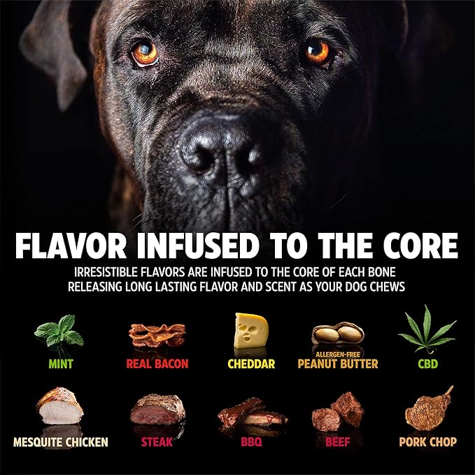 Pet Qwerks Nylon Stick BarkBone - Image 3