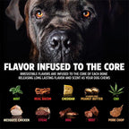 Pet Qwerks Nylon Stick BarkBone - Image 3