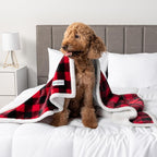 PetAmi Waterproof Dog Blanket for Medium Large XL Dog Puppy Cat Throw for Couch - Image 7