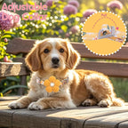 Small Dog Collar with Flower, Puppy Collar - Image 5
