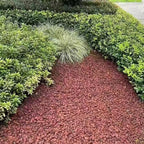 5LB Succulent and Cactus Gravel Pebbles, 1/5 Inch Natural Decorative Polished - Image 7