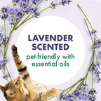 Arm & Hammer Forever Fresh Cat Litter Deodorizer, Wild Lavender, Essential Oils - Image 3