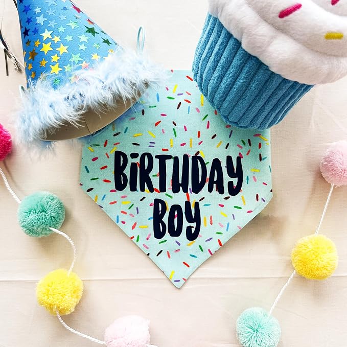 Birthday Boy Dog Bandanas 1 Pack, HBD Pet Scarves - Image 5