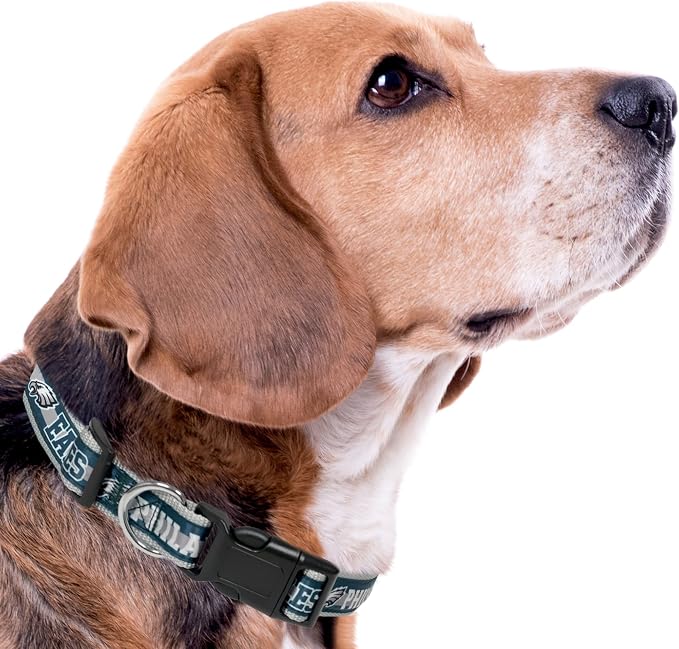 NFL PET Collar Philadelphia Eagles Dog Collar, Large Football Team Collar - Image 7
