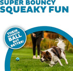 Outward Hound Squeaker Ballz – Squeaky Tennis Balls - Image 2