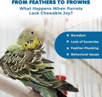 SunGrow Parrot Swing and Perch Bundle, Keep Birds from Hatching Plans - Image 6