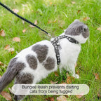 BEAUTYZOO Cat Harness and Leash Set Escape Proof - Image 4