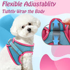 AIITLE Comfortable Dog Harness and Leash Set - Image 6