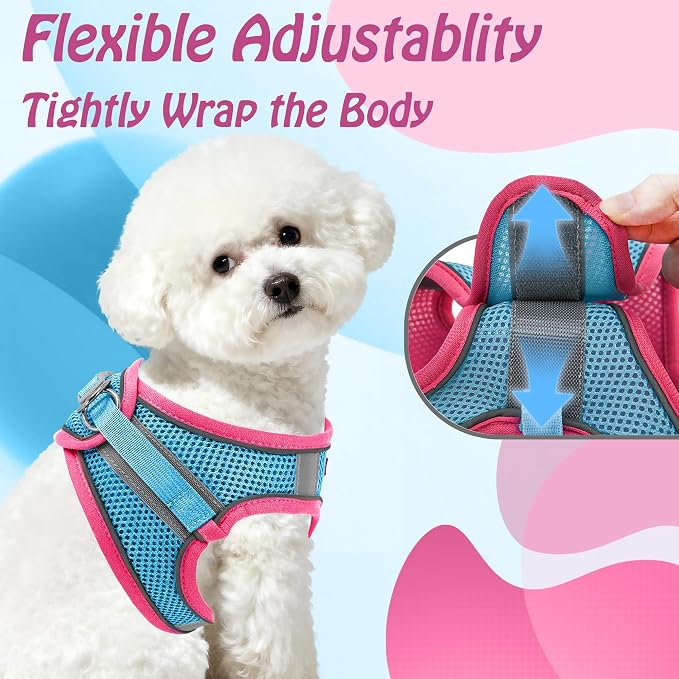 AIITLE Step in Dog Harness and Leash Set - Image 5