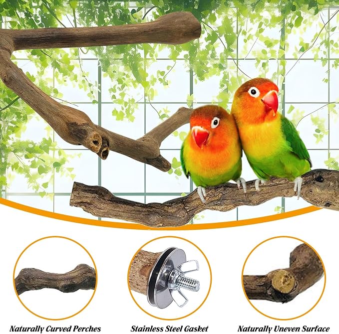 kathson 3pcs Natural Parrot Perch - Image 5