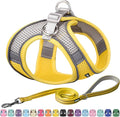 AIITLE Dog Harness, No-Pull Cat Harness by AIITLE-FORPETSBETTERLIFE