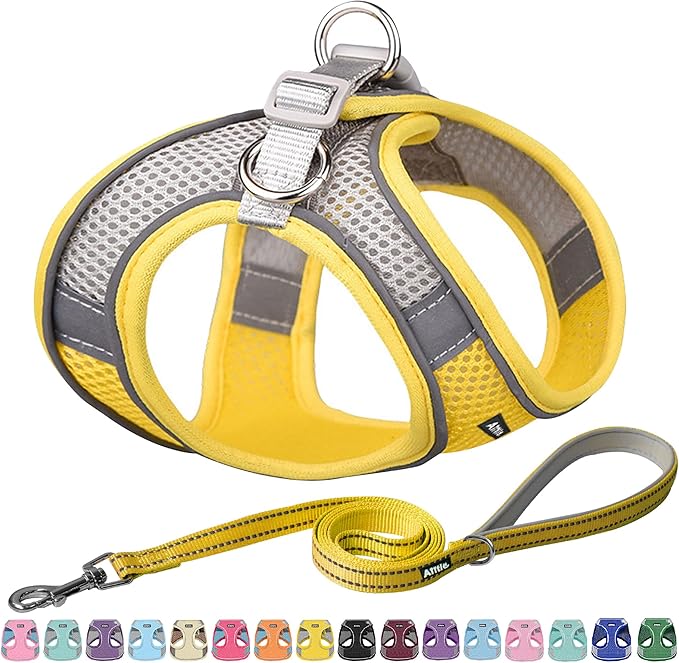 AIITLE Comfortable Dog Harness and Leash Set by AIITLE-FORPETSBETTERLIFE