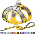 AIITLE Comfortable Dog Harness and Leash Set by AIITLE-FORPETSBETTERLIFE
