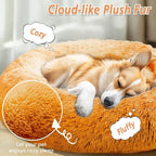 JOLLYVOGUE Calming Dog Bed for Small Dogs - Image 2