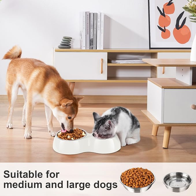 Double Dog Bowls Set – Non-Slip Pet Food & Water Dishes - Image 3