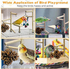 PINVNBY 3 PCS Wooden Small Bird Playground - Image 6