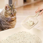 Lady N - Infinity Cat Litter Scoop: Easy Sifting - Image 7