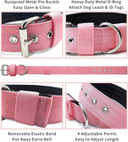 Heavy Duty Tactical Dog Collar - Image 3