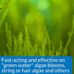 API ALGAEFIX Algae Control 16-Ounce Bottle - Image 3