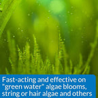 API ALGAEFIX Algae Control 4-Ounce Bottle - Image 3
