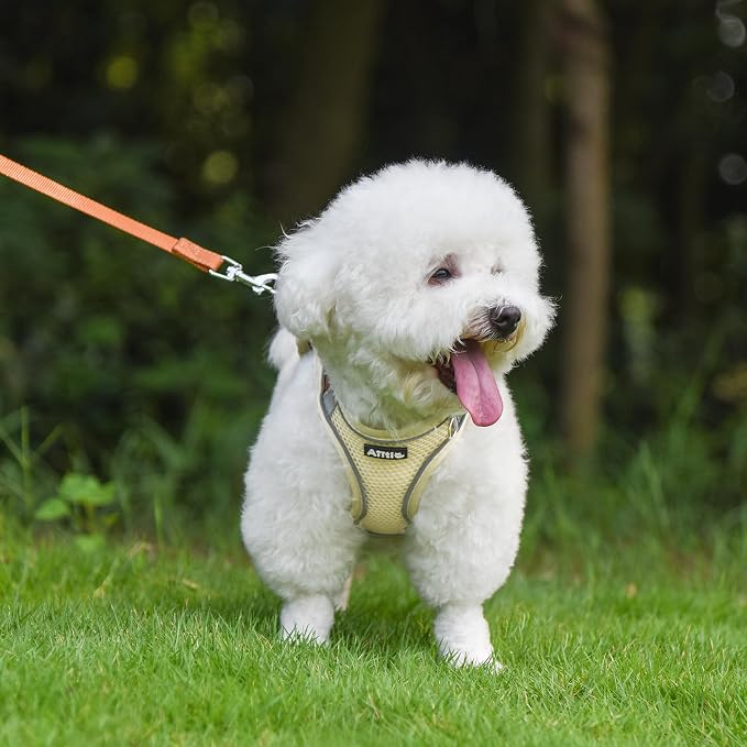 AIITLE Comfortable Dog Harness and Leash Set - Image 8
