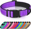 Joytale Reflective Dog Collar, Soft Neoprene Padded, Metal D-Ring, Nylon Pet by Joytale