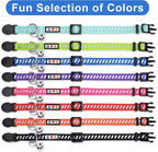 Pawtitas Personalized Black Reflective Cat Collar – Adjustable Custom Collar - Image 7