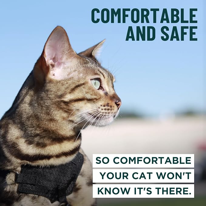Houdini™ Escape Proof Cat Harness and Leash Set by OutdoorBengal – Turquoise - Image 4