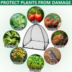 DECOHS 2 Pcs Pop-Up Mesh Plant Cover Tent, Plant Protector Enclosure - Image 4