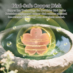 99.99% Pure Copper Bird Bath Disk, Triple-Point Support Design Lower Cleaning - Image 3