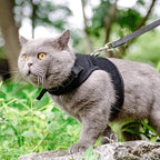 PUPTECK Soft Mesh Cat Vest Harness and Leash Set Puppy Padded Pet Harnesses - Image 6