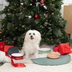 Should We Go - Waterproof Silicone Pet Food Mat - Non-Slip, Spill-Proof Feeding - Image 2