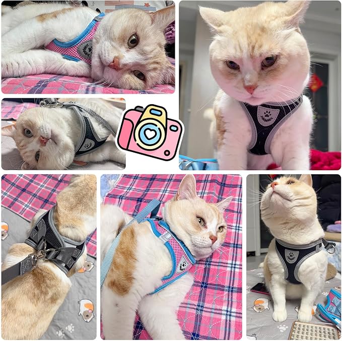 SCENEREAL Cat Harness and Leash Set Escape Proof, Adjustable Soft Air Mesh - Image 8