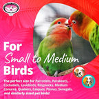 Super Bird Creations Mini Starburst Bird Toy - Image 2