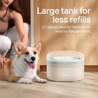 PETLIBRO Replacement Filters for Capsule Dog Fountain PLWF008, 4 Month Set of - Image 6