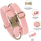 Didog Soft PU Leather Dog Collar, Stylish Quick Released Dog Collar - Image 2