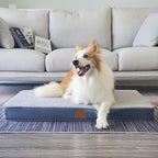 Sunheir Orthopedic Dog Beds for Small Dogs, Waterproof Puppy Bed - Image 5