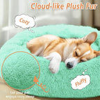 JOLLYVOGUE Calming Dog Bed for Small Dogs - Image 2