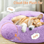 JOLLYVOGUE Calming Dog Bed for Small Dogs - Image 2